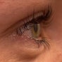 Raise 'Em Brows and Lashes