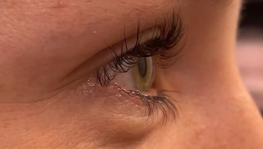 Raise 'Em Brows and Lashes image 1