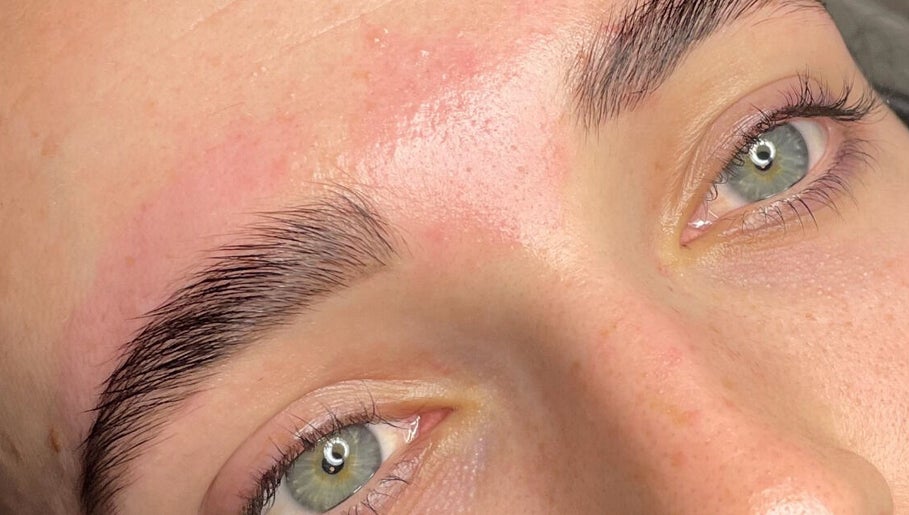 Raise 'Em Brows and Lashes image 1