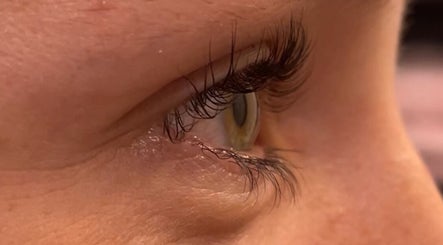 Raise 'Em Brows and Lashes image 3