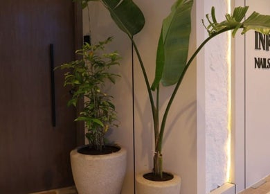 Entrance of 8 Infiito Salon in Jeddah, Makkah Province, SA, showcasing potted plants and sleek design.