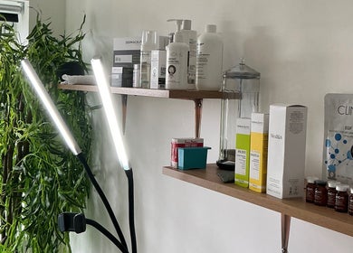 Shelves with skincare products at Your Skin Club, Wakefield, England, GB, showcasing a lush plant.