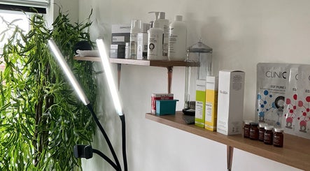 Shelves with skincare products at Your Skin Club, Wakefield, England, GB, showcasing a lush plant.