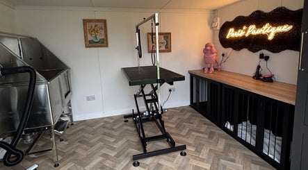 Paris’ Pawtique image 3
