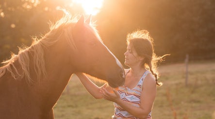 Regards Pluriels Equicoaching