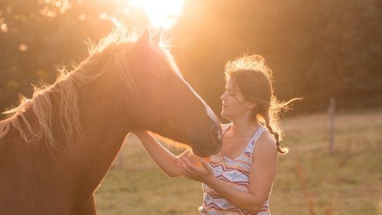 Regards Pluriels Equicoaching