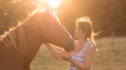 Regards Pluriels Equicoaching