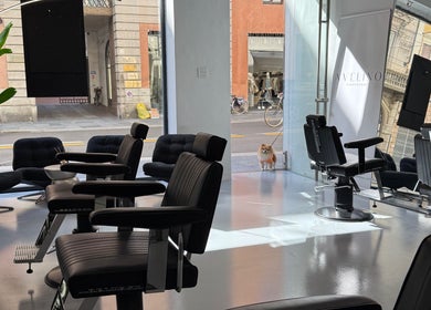 Interno moderno di AVELINO Barbershop CENTRO a Parma, Emilia-romagna, IT con poltrone eleganti.