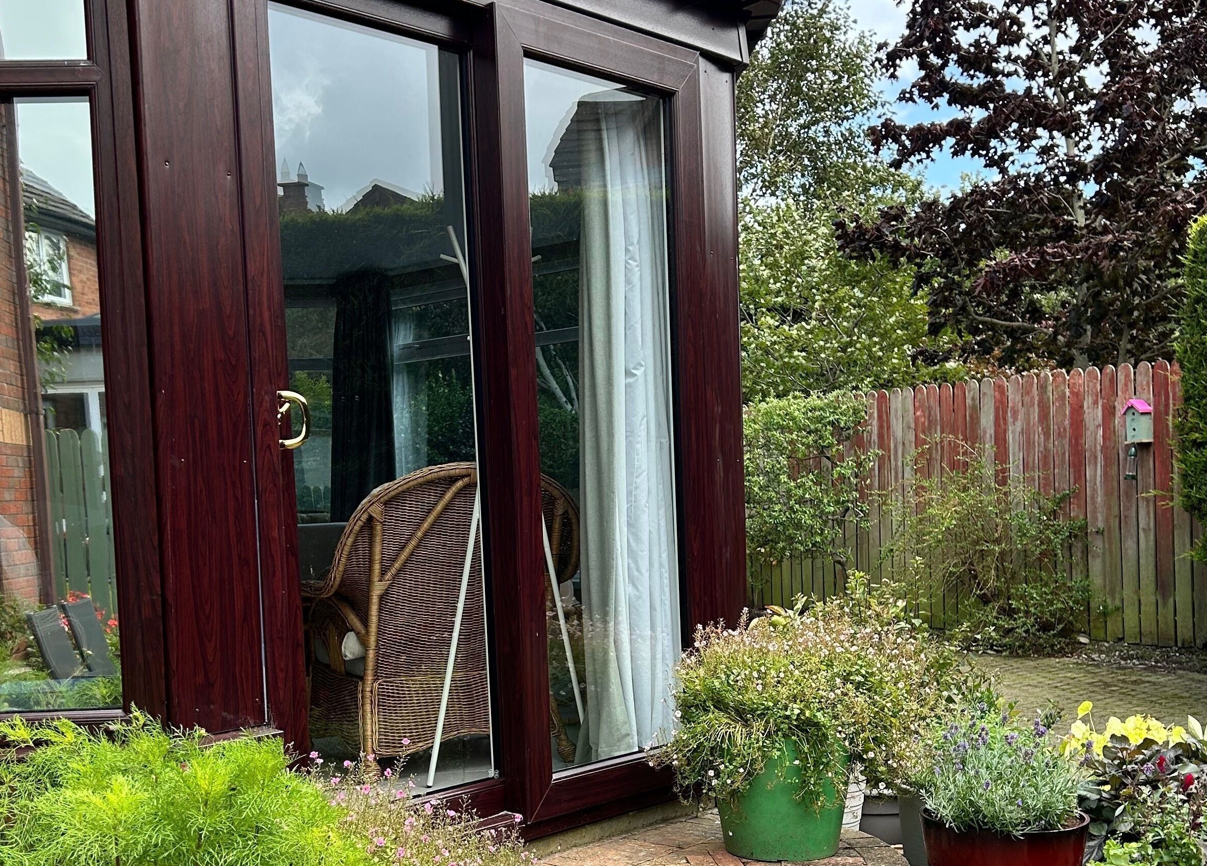 Relax & Bloom sunroom garden view in Bangor, Northern Ireland, GB with lush plants and natural light.