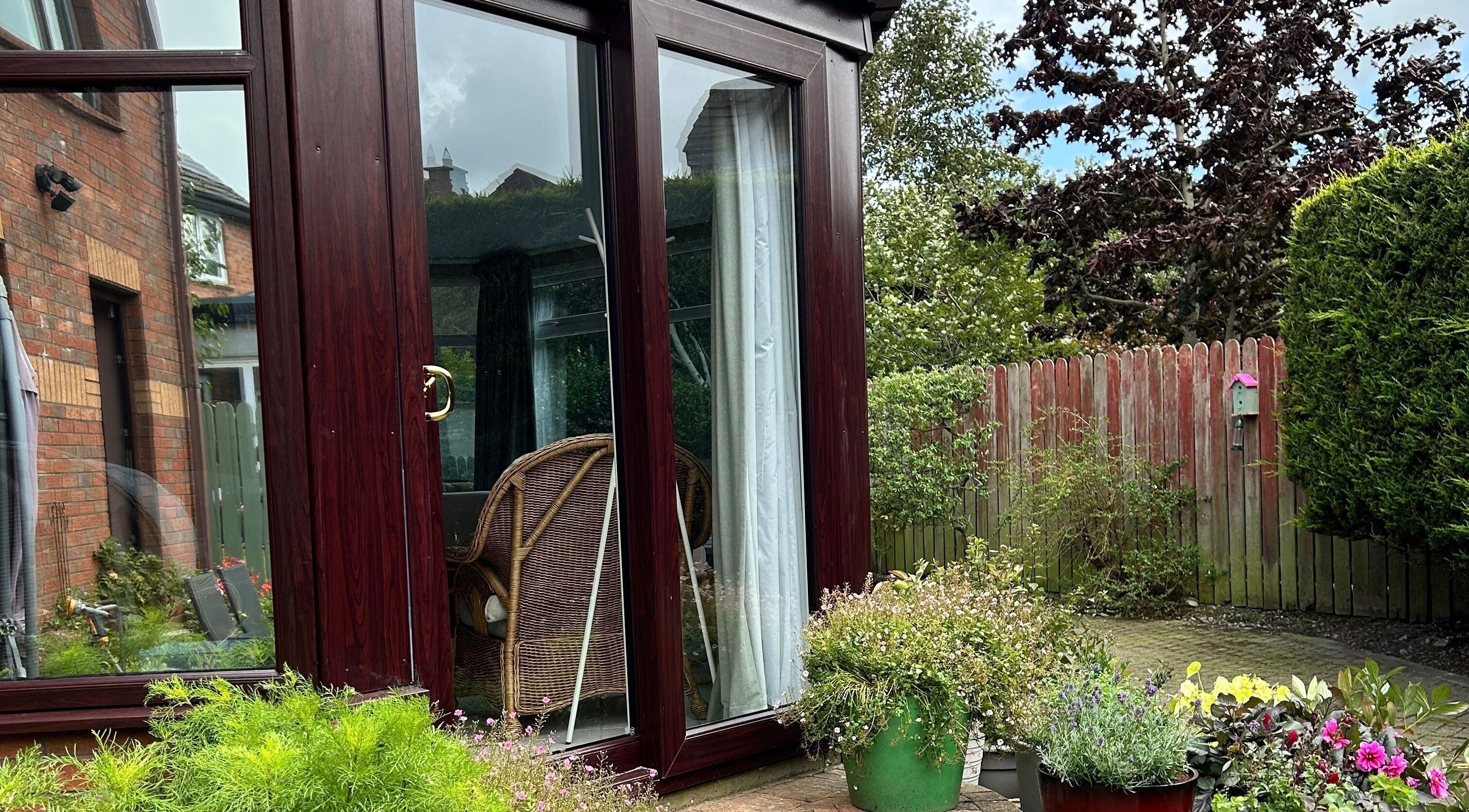 Relax & Bloom sunroom garden view in Bangor, Northern Ireland, GB with lush plants and natural light.
