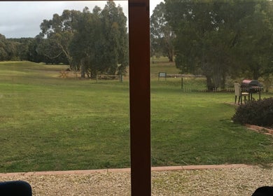 Peaceful garden view from Body Tunes Remedial Massage in Lancefield, Victoria, AU with lush greenery.