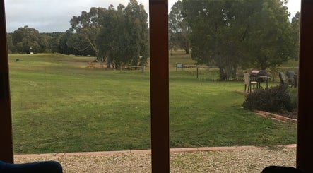 Peaceful garden view from Body Tunes Remedial Massage in Lancefield, Victoria, AU with lush greenery.