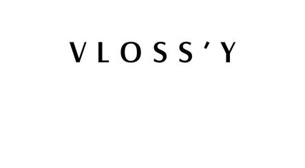 Vloss'y Inc