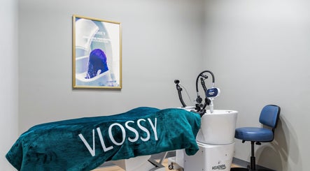 Vloss'y Inc