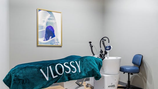 Vloss'y Inc