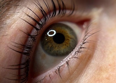Close-up of a beautifully lifted eyelash at Lash Lift Goddess, Burnaby, British Columbia, CA.