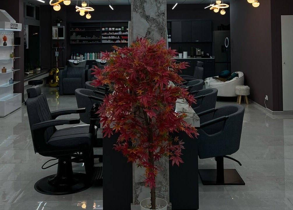 Innenansicht des Milano Coiffeur Paradeplatz in Zürich, Zürich, CH mit stilvoller Dekoration und bequemen Sitzen.