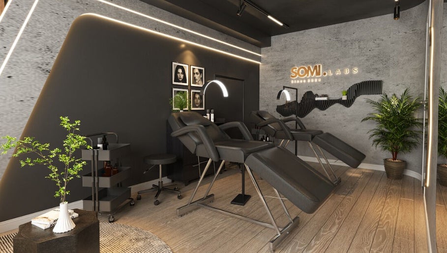รูปภาพ SOMI Labs 1