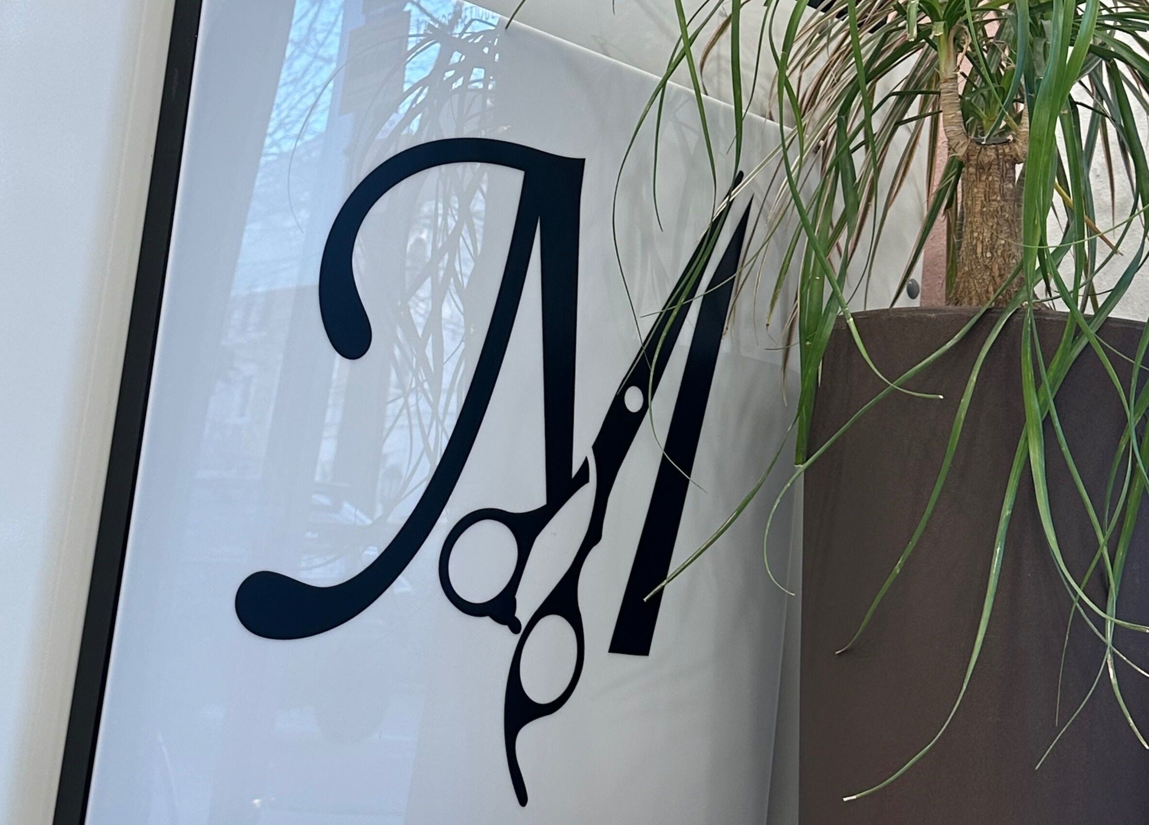 Logo alla vetrina di Mani di Forbice a Ferrara, Emilia-romagna, IT con pianta decorativa.