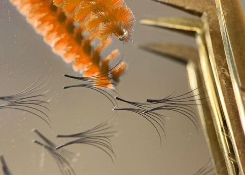 Close-up of lashes and tool at The Lash Lounge by Lizzy, Engadine, New South Wales, AU.