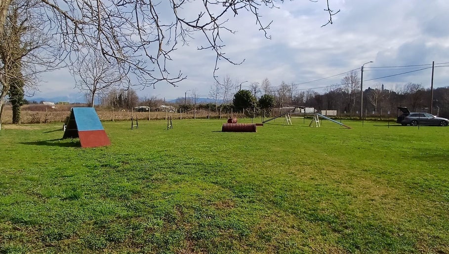 Dog in Relax -Area Cani Privata image 1