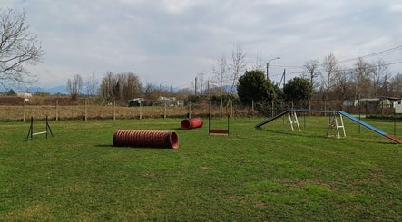 Dog in Relax -Area Cani Privata image 2