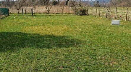 Dog in Relax -Area Cani Privata image 3