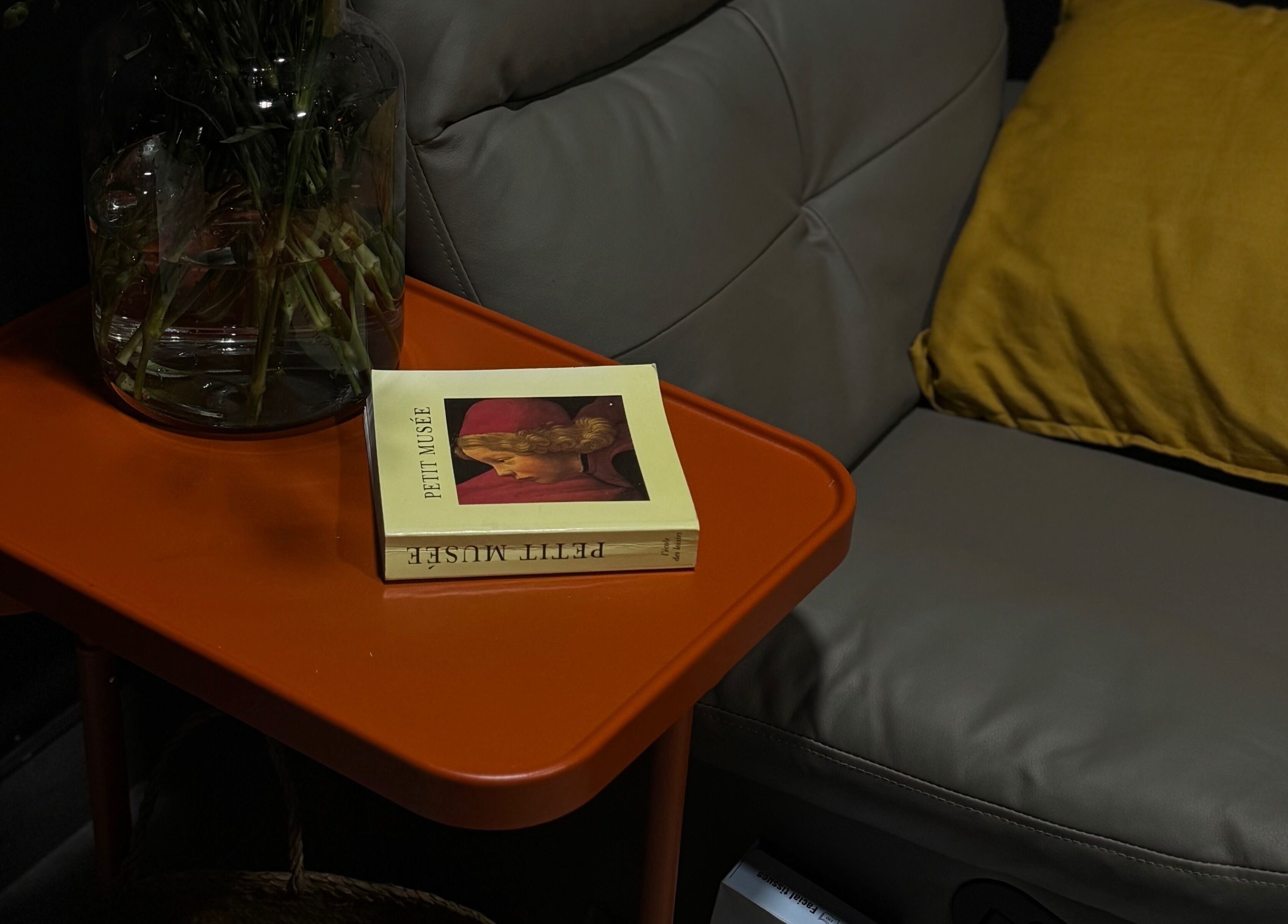 Комфортный уголок в Anastasiia, Bray, County Wicklow, IE с диваном, книгой и вазой.