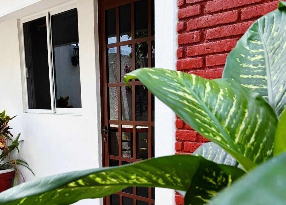 Entrada de Kalize en Oaxaca De Juárez con plantas exuberantes y paredes de ladrillo rojo.
