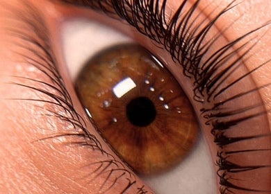 Primer plano de un ojo con pestañas largas en Brows By Lili Cázares, Santiago de Querétaro, Querétaro, MX.