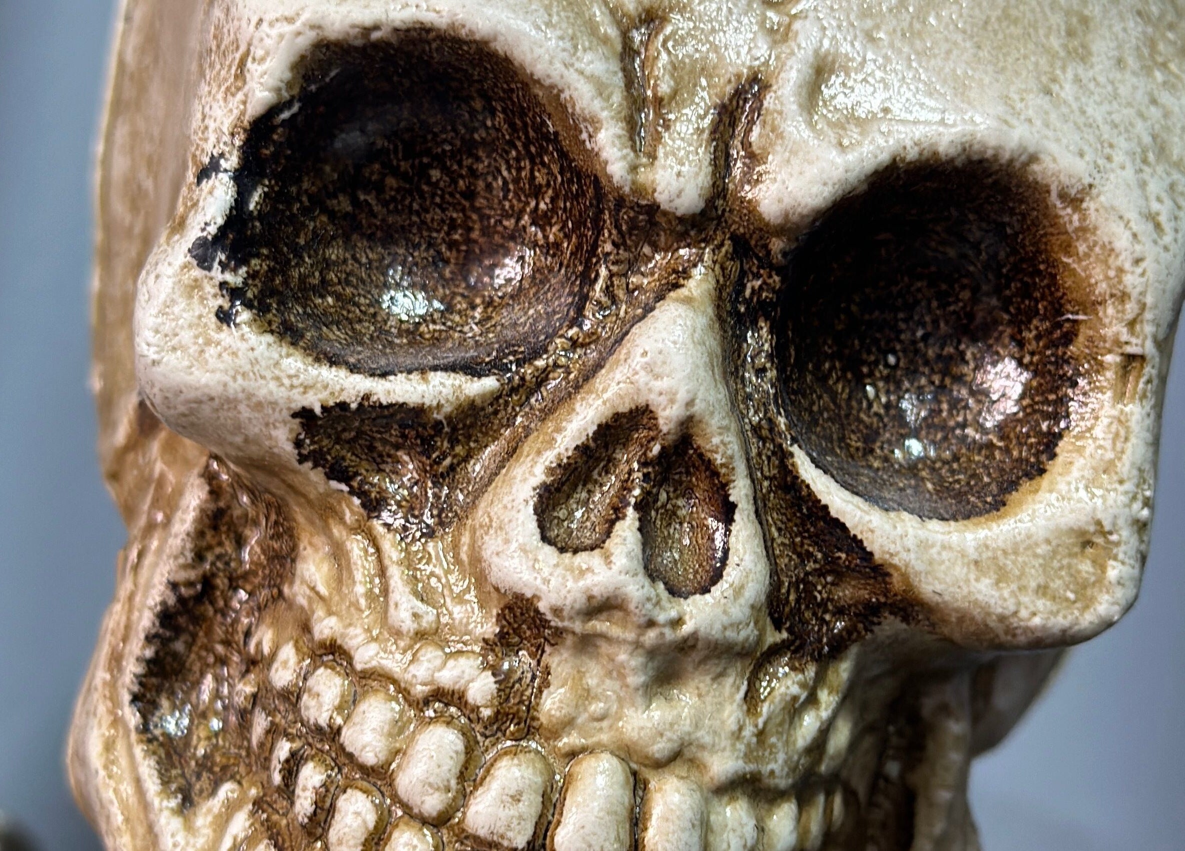 Calavera decorativa en ImBarber18 - Nariño Sur, Bogotá, Bogotá, CO, creando un ambiente único.