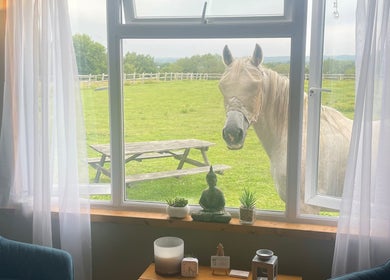 View of a peaceful garden with a horse from Massage Therapy with Molly in Hassocks, England, GB.