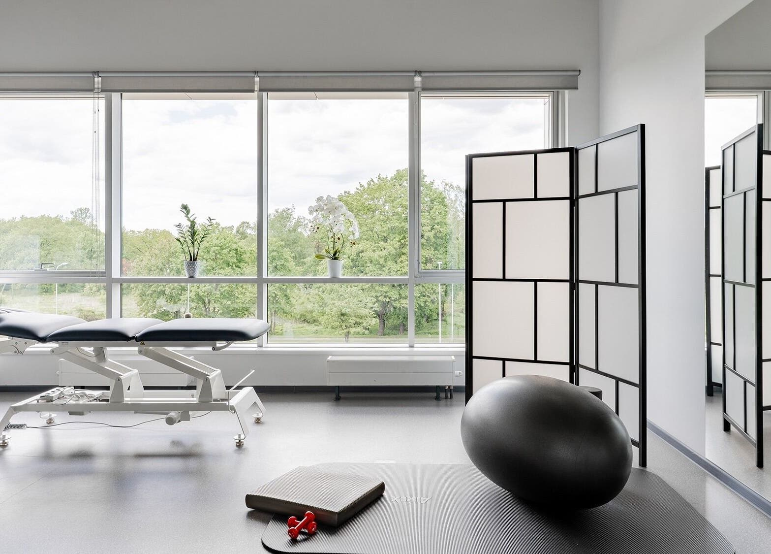 Bright therapy room at FIZIO LINE, Rīga, LV, featuring massage table, exercise ball, and a peaceful view.