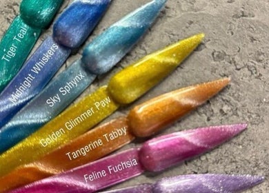 Colorful nail tips display at Gemmy Jay Nail Artist in Ringwood, England, GB.