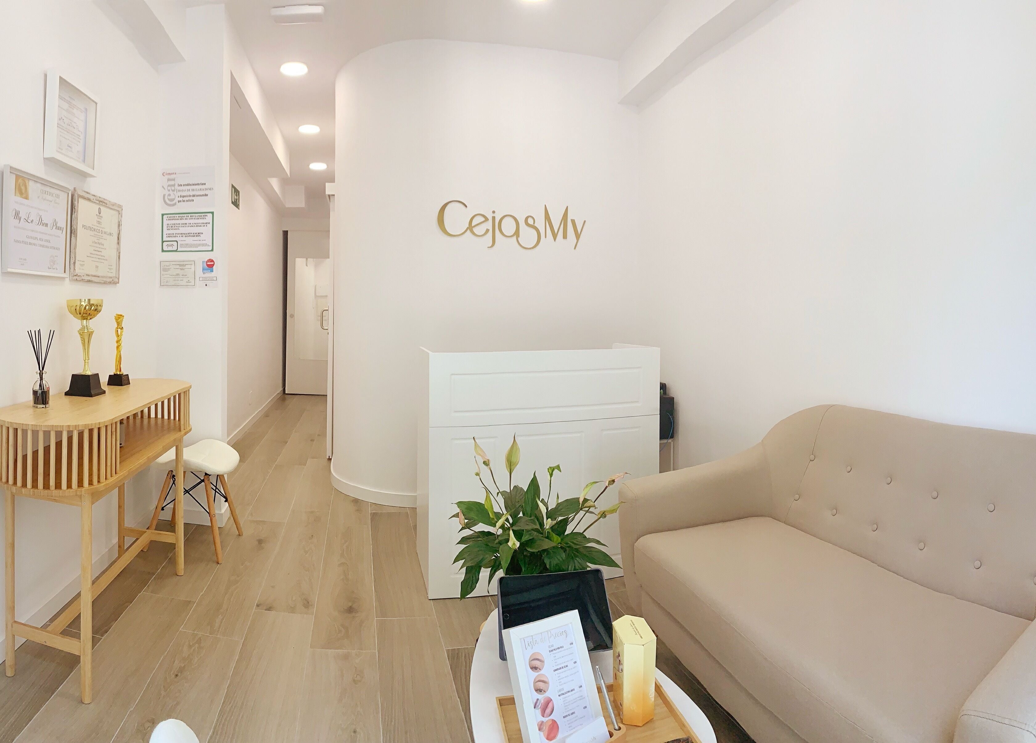 Recepción en CejasMy, Torrelavega, Cantabria, ES, con muebles modernos y decoración acogedora.