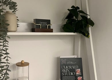 Elegant interior at Emerald Skin Studio in London, England, GB with plants and decor on a stylish shelf.