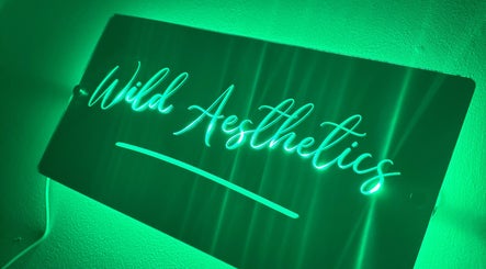 Wild Aesthetics, bilde 2