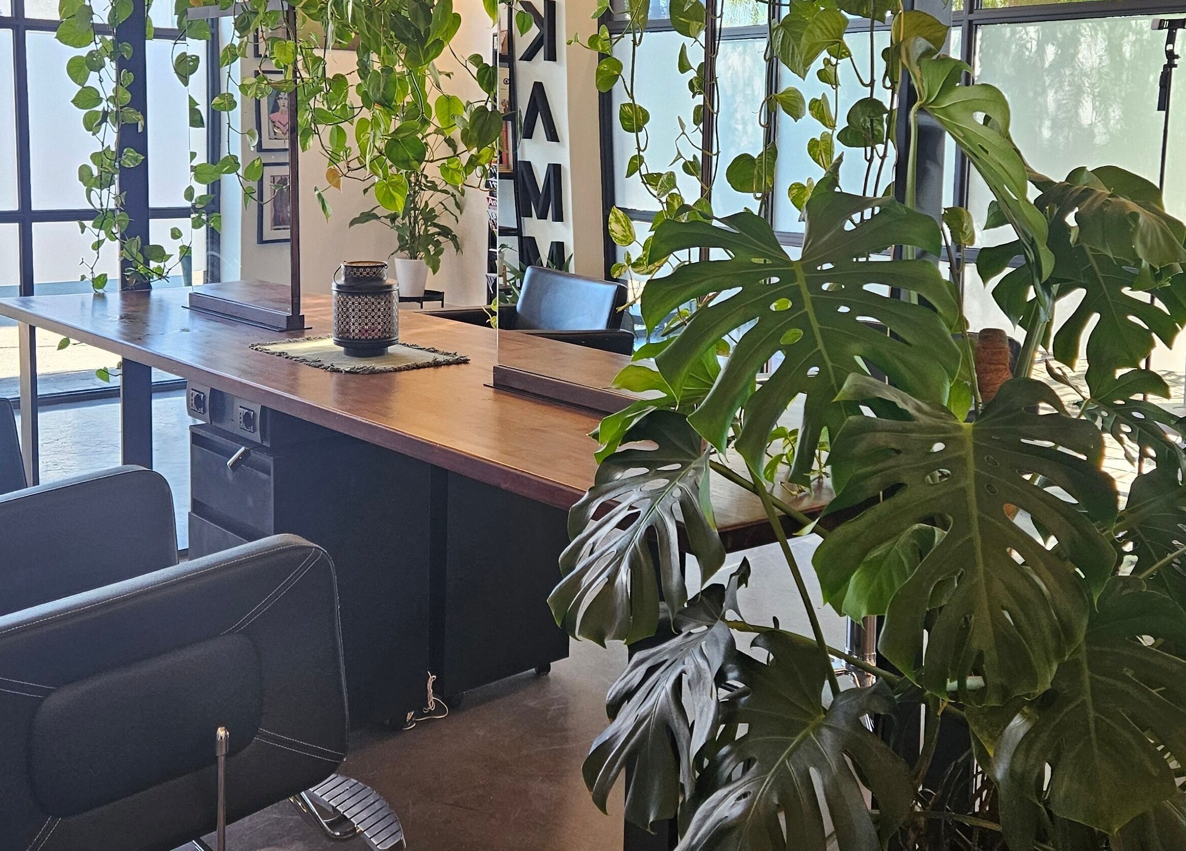 Interno di KAMM hairsalon a Galatone, Puglia, IT con piante lussureggianti e arredi eleganti.