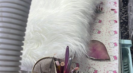 Immagine 2, Brat Nails