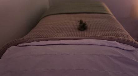 Skinology image 2