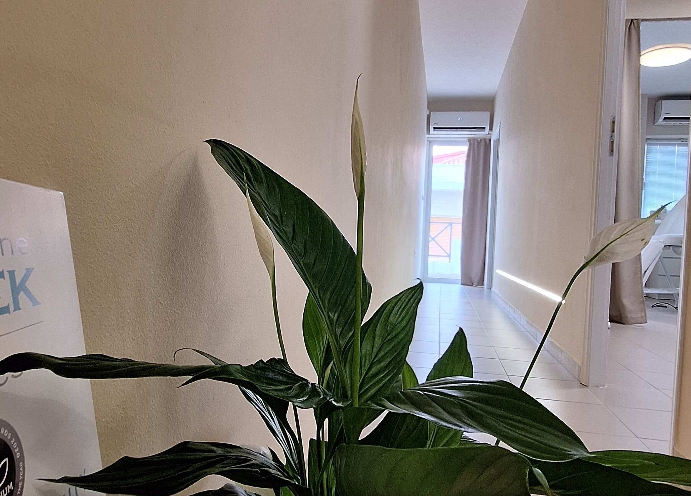 Φυτά και διάδρομος στο Ινστιτούτο Αισθητικής Ελένη Βακάλη, Καλαμάτα, GR, προσφέροντας γαλήνια ατμόσφαιρα.