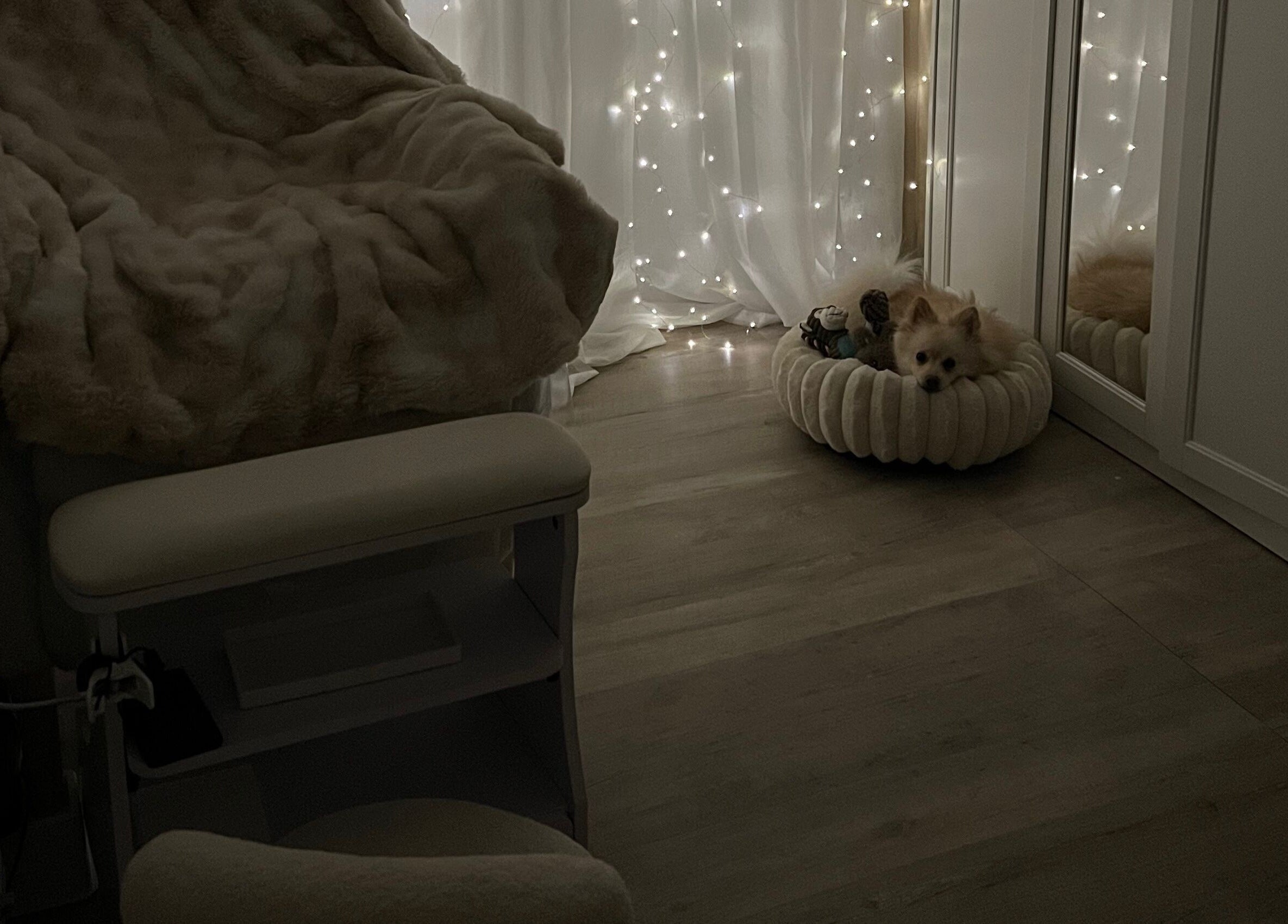 Coin douillet à Flawless Sassa, Nice, Provence-alpes-côte D'azur, FR, avec un chiot et des lumières féeriques.