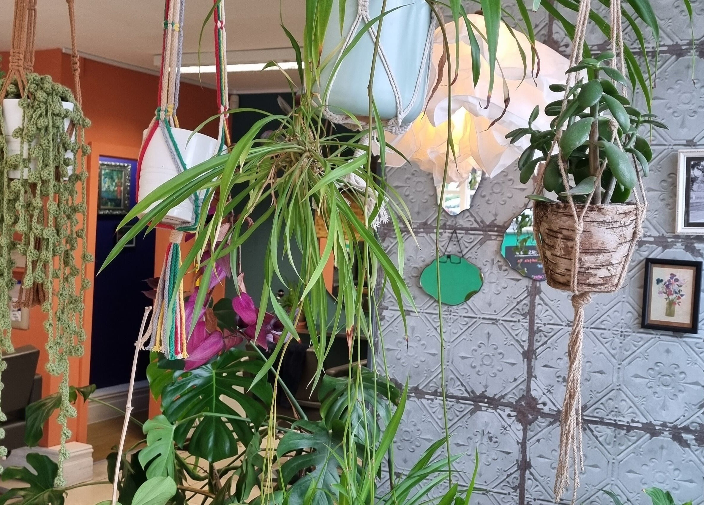 Hanging plants create a serene ambiance at Tamed and Wild Fishponds in Bristol, England, GB for wellness.