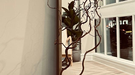 Skin Boutique Aesthetics & Wellness изображение 3