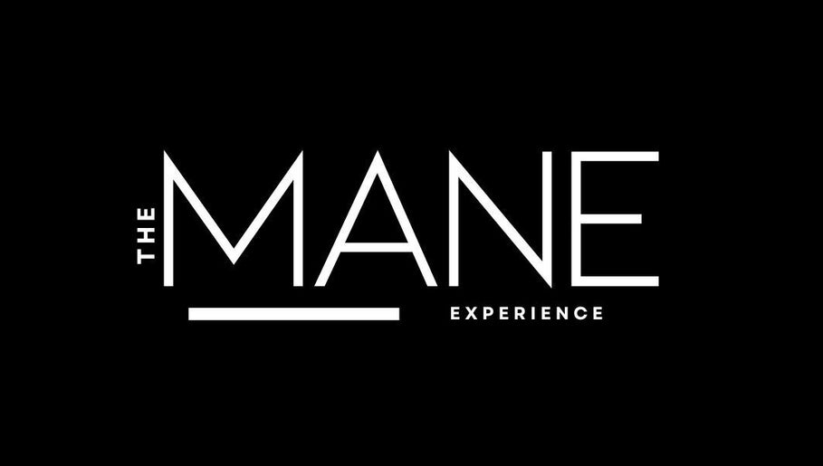 The MANE Experience imagem 1