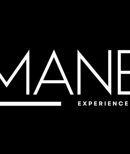 The MANE Experience imagem 2