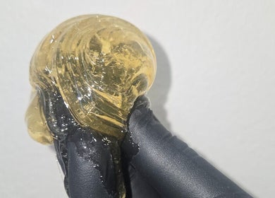 Gloved hand holding golden sugar paste at Sugar Chic Studios, Idaho Falls, Idaho, US.