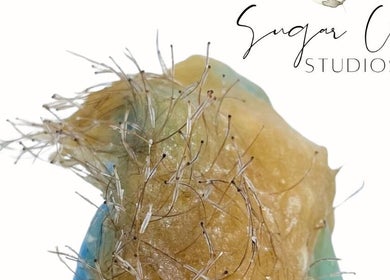 Close-up of waxed hair removal at Sugar Chic Studios, Idaho Falls, Idaho, US.