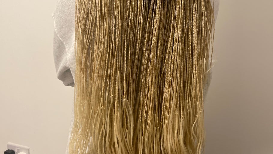 Braids by Lily image 1