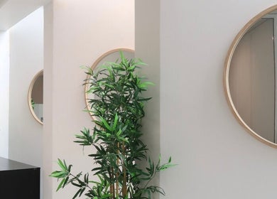 Elegant decor with mirrors and plants at Cosmetic Nurse Carly in Helensvale, Queensland, AU.